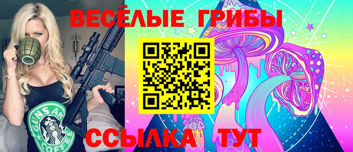 Псилоцибиновые грибы мицелий Сибай