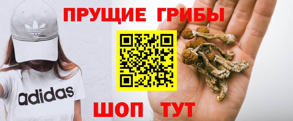 Псилоцибиновые грибы MAGIC MUSHROOMS  Вход с VPN  Сибай 
